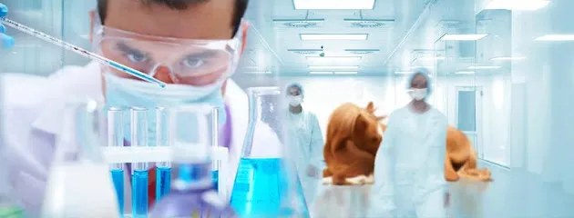 Foto de Clínica e Laboratório Saffary, uma clínica veterinária em Leste Potiguar