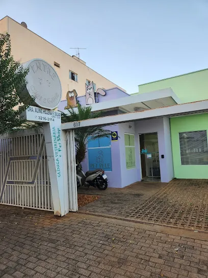 Clínica Entre Cães e Gatos en São José do Rio Preto