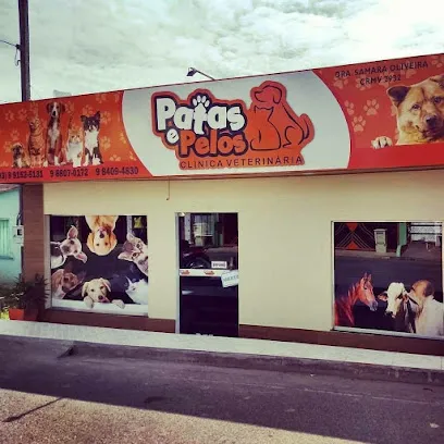 Clinica Patas e Pelos en Santarém