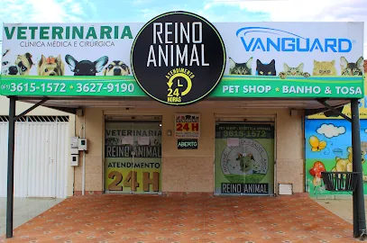 Imagem do melhor veterinário em Rio Branco