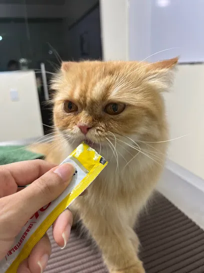 Foto de Clínica Rural Pet, uma clínica veterinária em Boa Vista