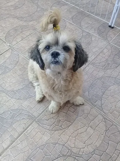 Foto de Clínica Sos Animal, uma clínica veterinária em Vale do Paraíba Paulista