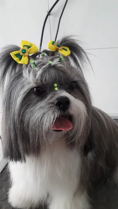 Foto de Clínica Veterinária Alípio de Melo e Pet Shop, uma clínica veterinária em Minas Gerais