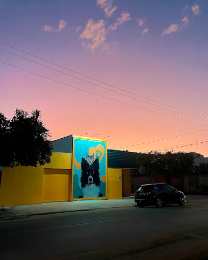 Foto de Clínica Veterinária All Pet, uma clínica veterinária em Extremo Oeste Baiano