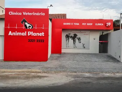 Imagem do melhor veterinário em Anápolis