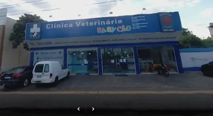 Imagem do melhor veterinário em Foz do Iguaçu