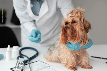 Imagem do melhor veterinário em Belo Horizonte