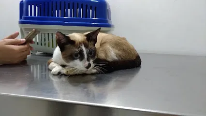 Foto de Clínica Veterinária Bicho de Estimação, uma clínica veterinária em Norte Catarinense