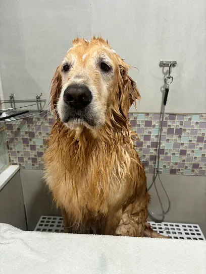 Clínica Veterinária Bicho do Mato (atendimento para animais silvestres) en Ribeirão Preto