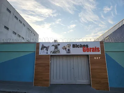 Foto de CLÍNICA VETERINÁRIA BICHOS GERAIS UNIDADE PATRIARCA, uma clínica veterinária em Metropolitana de Belo Horizonte