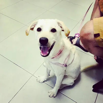 Foto de Clínica Veterinária Campo Grande, uma clínica veterinária em Espírito Santo