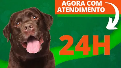 Imagem do melhor veterinário em Varginha