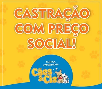 Clínica Veterinária Cães e Cia en Sul Catarinense