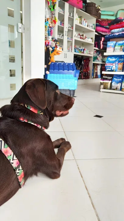 Foto de Clínica Veterinária Dom Matheus, uma clínica veterinária em Centro-Sul Paranaense