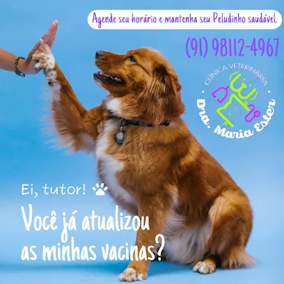 Foto de Clínica Veterinária Dra. Maria Ester, uma clínica veterinária em Belém