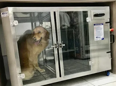 Foto de Clinica Veterinaria E Laboratorio Companhia Dos Bichos, uma clínica veterinária em Serrana