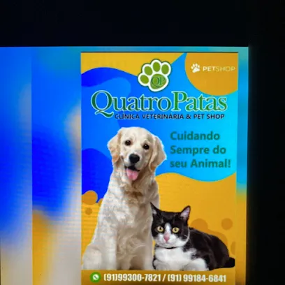 Imagem do melhor veterinário em Anapu