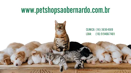 Imagem do melhor veterinário em Jaboticabal