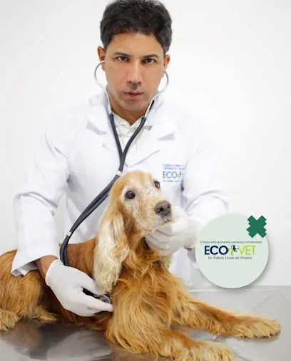 Imagem do melhor veterinário em Jequié