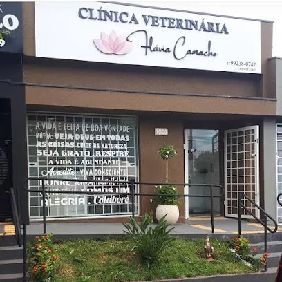 Clínica Veterinária Flávia Camacho en São José do Rio Preto