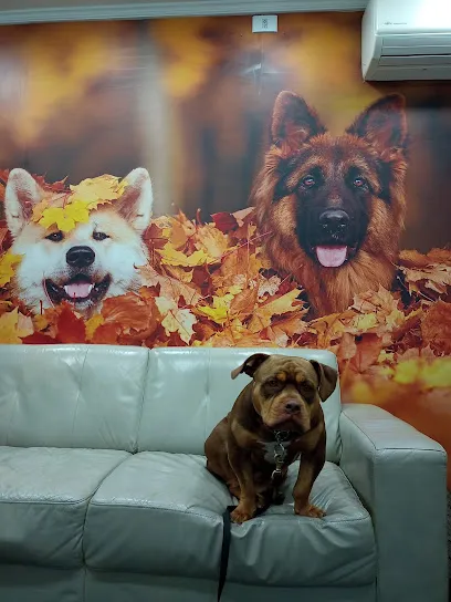 Clínica Veterinária Golden Dog Mogi en Metropolitana de São Paulo