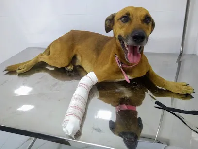 Foto de Clínica Veterinária Itacibá, uma clínica veterinária em Espírito Santo