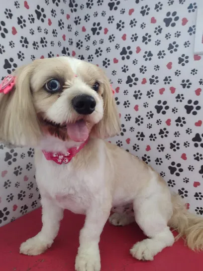 Foto de Clínica Veterinária Juliana de Azevedo, uma clínica veterinária em São José do Rio Preto