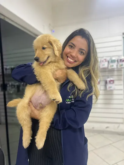 Clínica Veterinária MonAmi en Leste de Mato Grosso do Sul