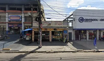 Foto de CLÍNICA VETERINÁRIA NOVA Q'LATES, uma clínica veterinária em Manaus