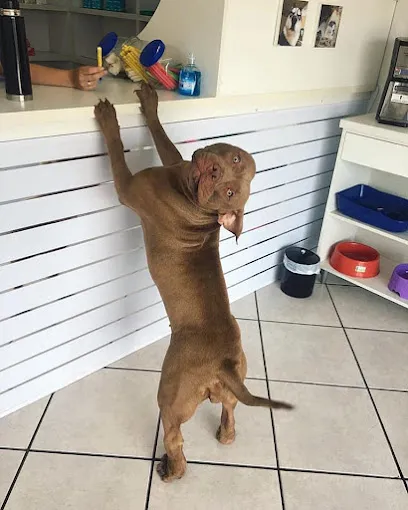 Foto de Clínica Veterinária Palandi, uma clínica veterinária em Nordeste Rio-grandense