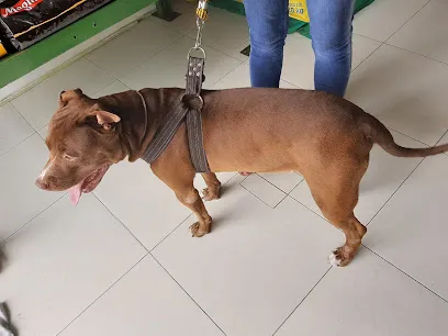 Clínica Veterinária Pêlos e Patas en Pernambuco