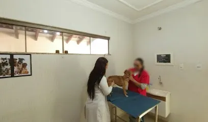 Clínica Veterinária Pet Vida - Ourinhos en Assis