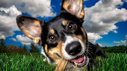 Foto de Clínica Veterinária Planeta Bicho 24h, uma clínica veterinária em Bauru