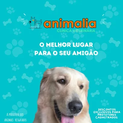 Foto de Clínica Veterinária Popular Animalia, uma clínica veterinária em Macapá