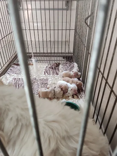 Foto de Clinica veterinária Procriador, uma clínica veterinária em Pantanais Sul Mato-grossense