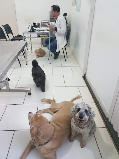 Clínica Veterinária Professor Marcio Vieira de Moraes en Ribeirão Preto