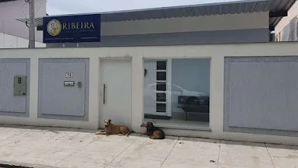 CLINICA VETERINÁRIA RIBEIRA en Metropolitana do Rio de Janeiro