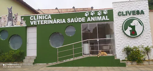 Imagem do melhor veterinário em Livramento do Brumado