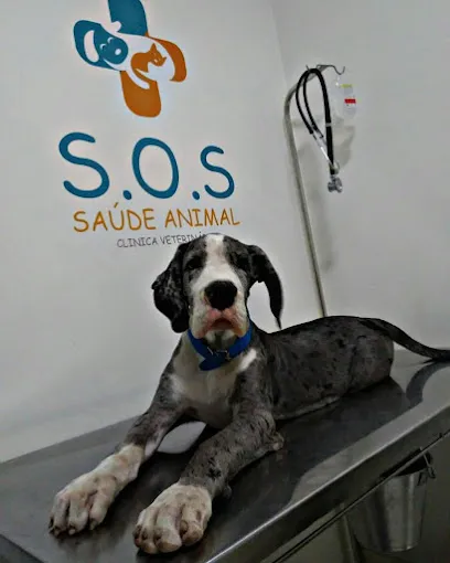 Foto de Clínica veterinária S.O.S saúde animal, uma clínica veterinária em Manaus