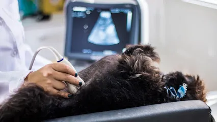 Clínica Veterinária Tau 24 horas en Sul/Sudoeste de Minas