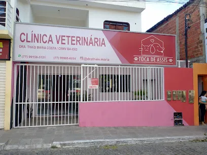 Imagem do melhor veterinário em Brumado