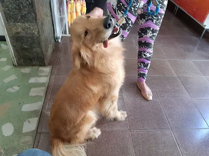 Clínica Veterinária União en Metropolitana de Belo Horizonte