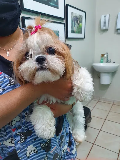 Clinica Veterinária Vet LISA - Liga de Saúde Animal en Ribeirão Preto