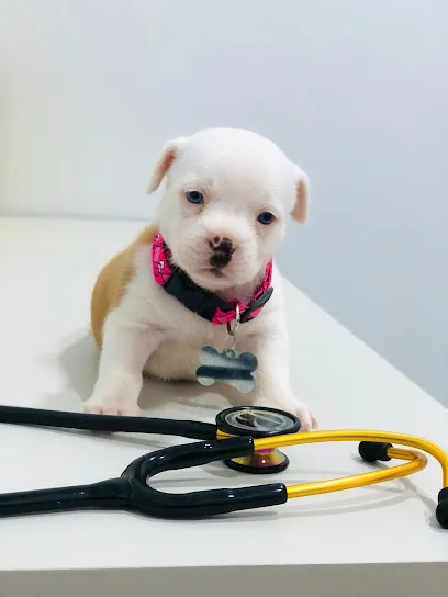 Foto de Clínica veterinária Vet Master, uma clínica veterinária em Parauapebas