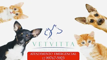 Imagem do melhor veterinário em Caraguatatuba