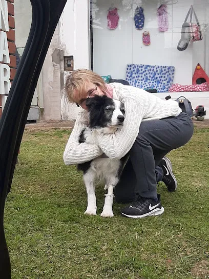 Foto de Clínica Veterinaria Vidas y centro oncológico veterinario, uma clínica veterinária em Paraná