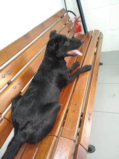 Clínica Veterinária.cão.br unidade Vila Kennedy en Rio de Janeiro