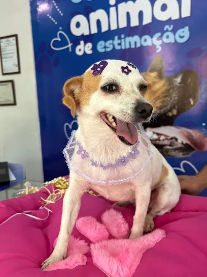 Foto de Clinicão Pet - Clínica Veterinária, uma clínica veterinária em Sul Goiano