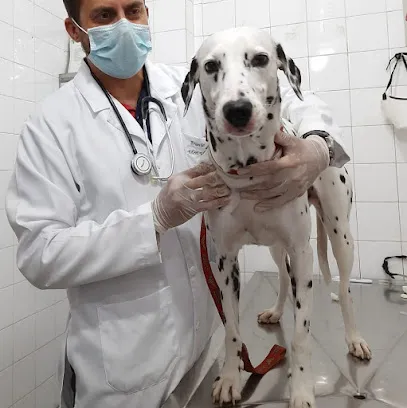 Foto de CliniVet/Consultório Veterinário Dr. João Farias Figueredo, uma clínica veterinária em Leste Sergipano