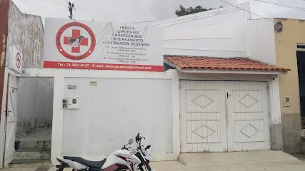 Imagem do melhor veterinário em Jacobina